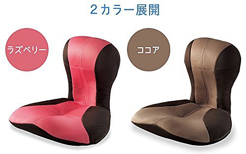 ラズベリー、ココアの２種類