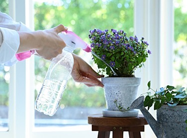 観葉植物など、根元から水やりできる